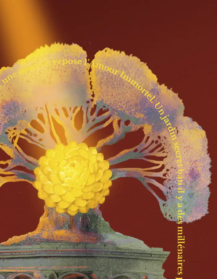 IMMORTELLE BABYLONE, IMMORTEL FLOWER BANNER