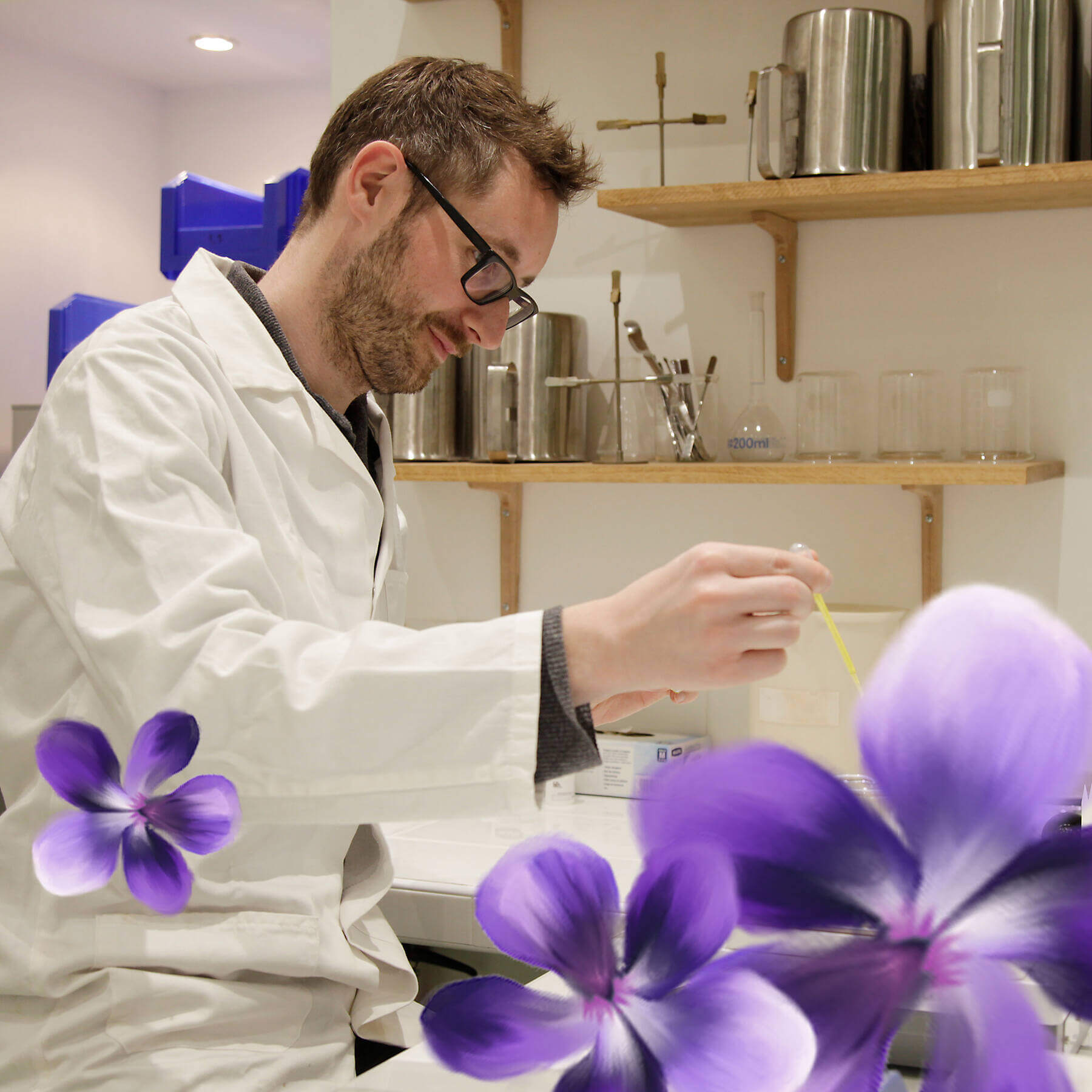 Maxense Moutte entrain de faire Violette Kew dans sont laboratoire du Jardin Retrouvé / il y'a 3 fleurs de violette illustré autour de l'image