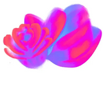 Soft white petals symbolizing the lightness and joy of floral fragrances