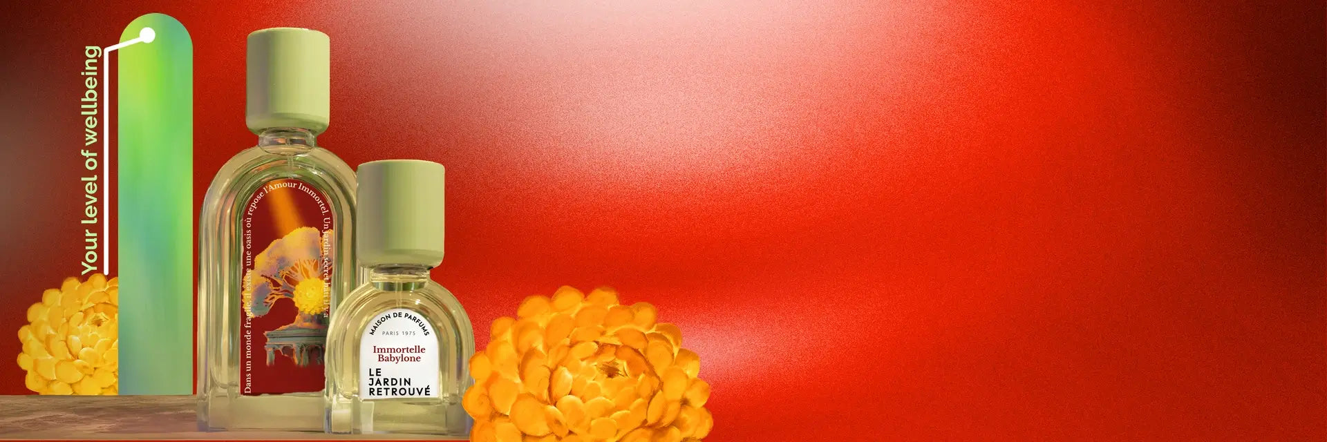 Niche fragrance Immortelle Babylone on vibrant red background, wellbeing scent with regenerating properties