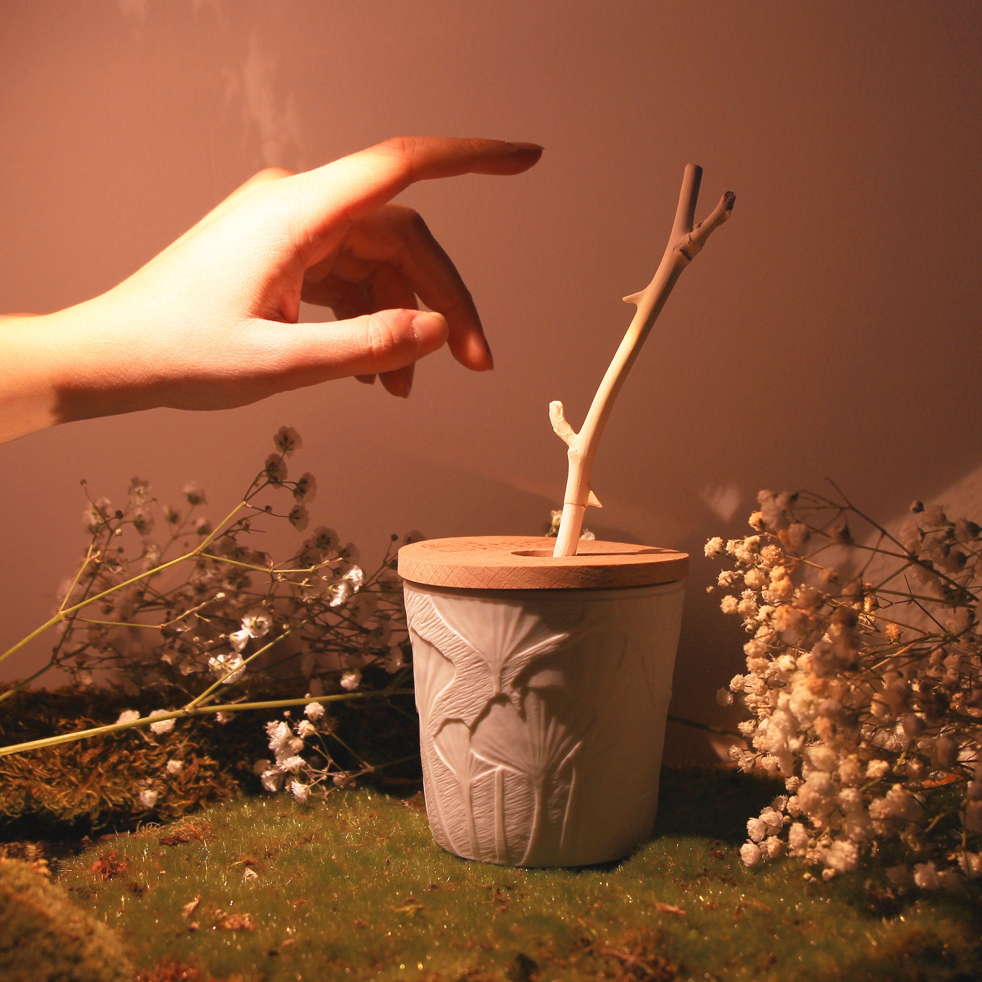 une main qui vas prendre la tige Tubéreuse Trianon du Jardin Retrouvé - sur une mousse naturelle et des fleurs banche 
